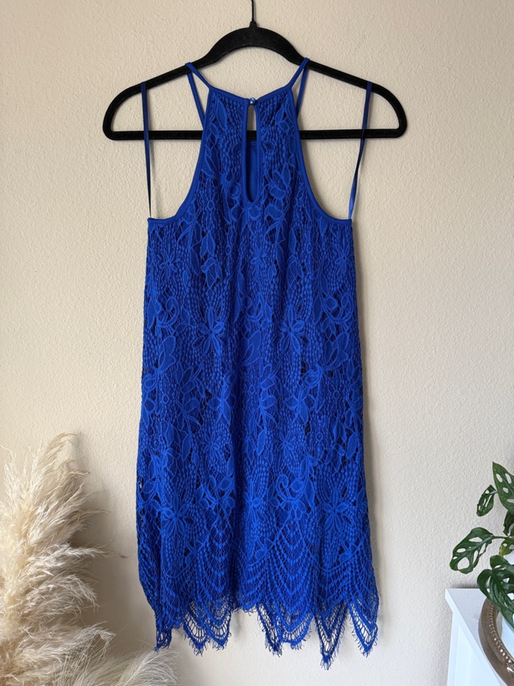 love, Fire Royal Blue Lace Mini Dress 1920s Flapper Scalloped Hem Cocktail - Picture 4 of 4